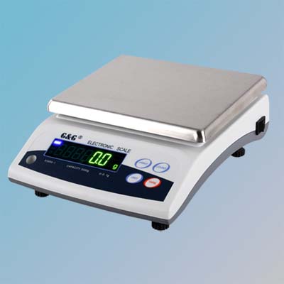 E series electronic scale